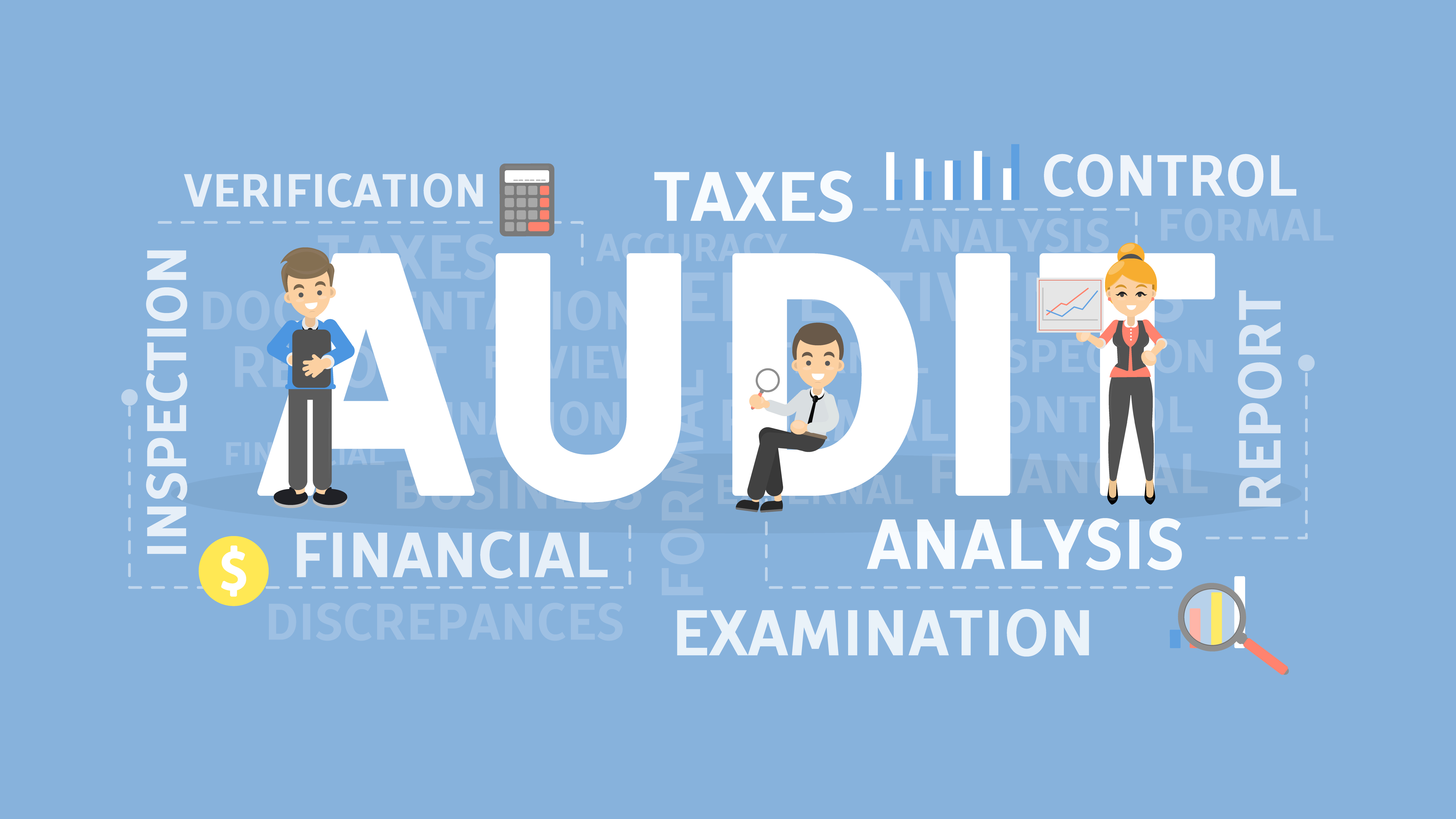 Audit Preparation & Support